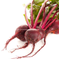 Beetroot Extract  25% Betaine Nitrate